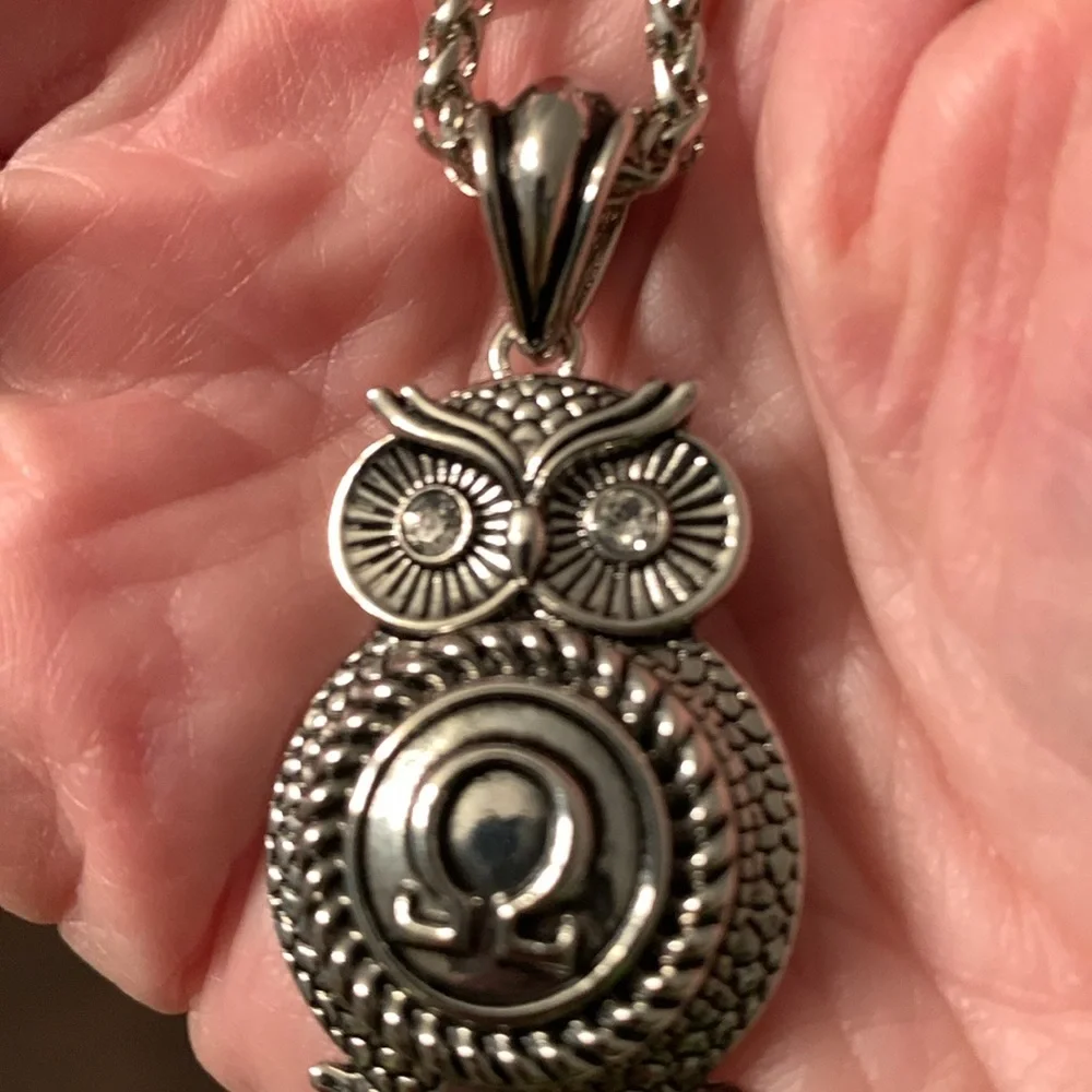 Owl Pendant Necklace with 9” Silver Chain EUC - Picture 3 of 6